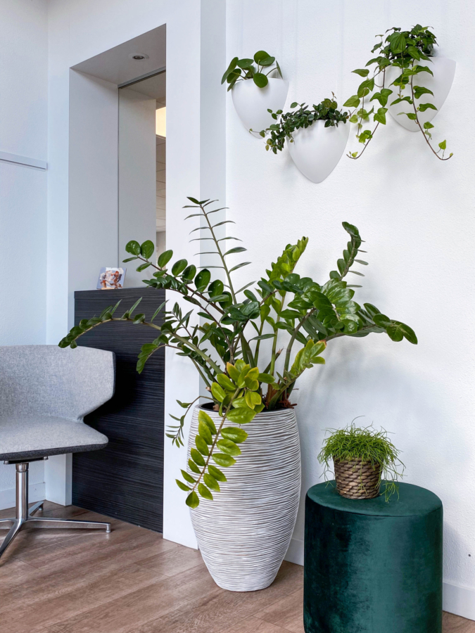 Artiteq Click Rail & Botaniq – Inspiratie hal Artiteq Click Rail & Botaniq - Inspiratie hal