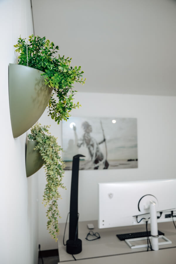 Artiteq Shadowline Drywall, Botaniq & Picture Mouse - Inspiratie kantoor